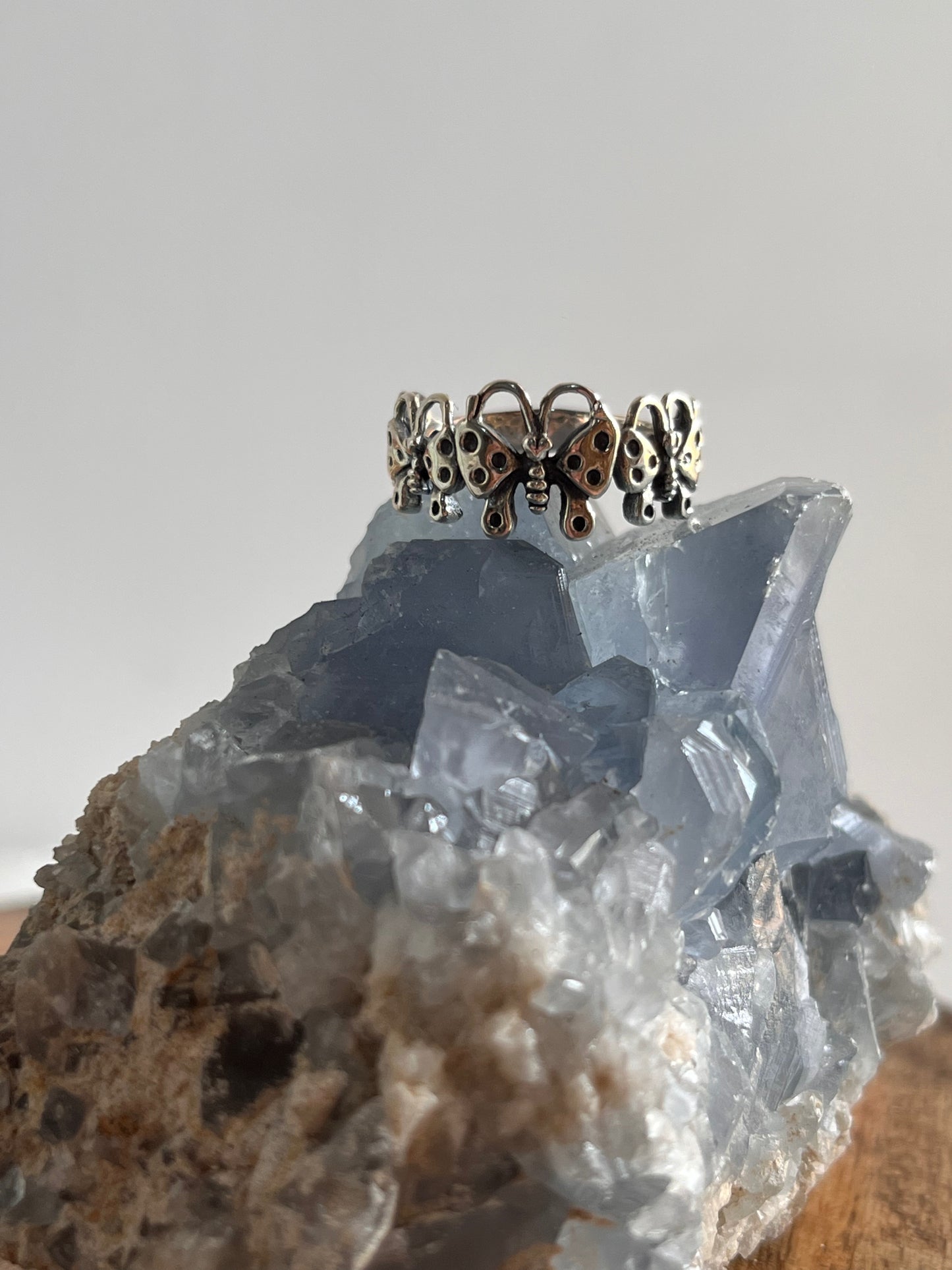 Sophisticated Silver Ring Featuring Butterflies Band