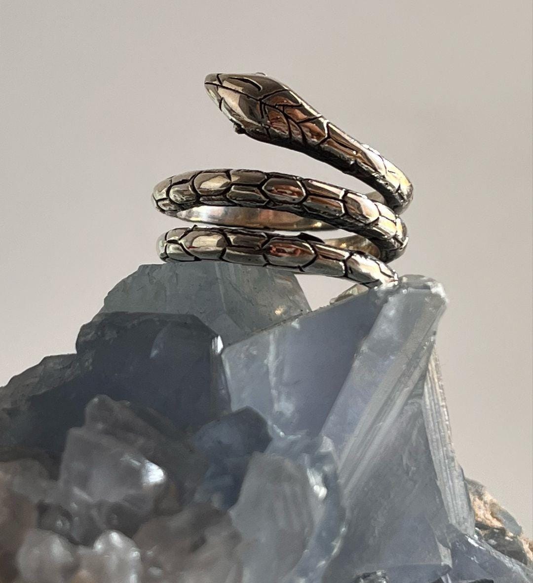 Timeless chunky silver ring with serpent detail