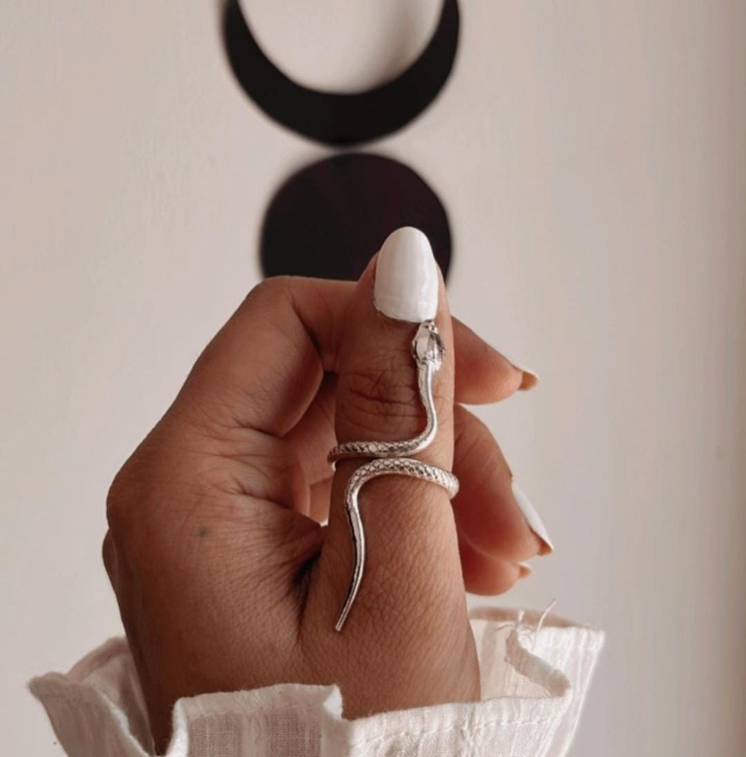 Handcrafted silver ring featuring a dual serpent motif