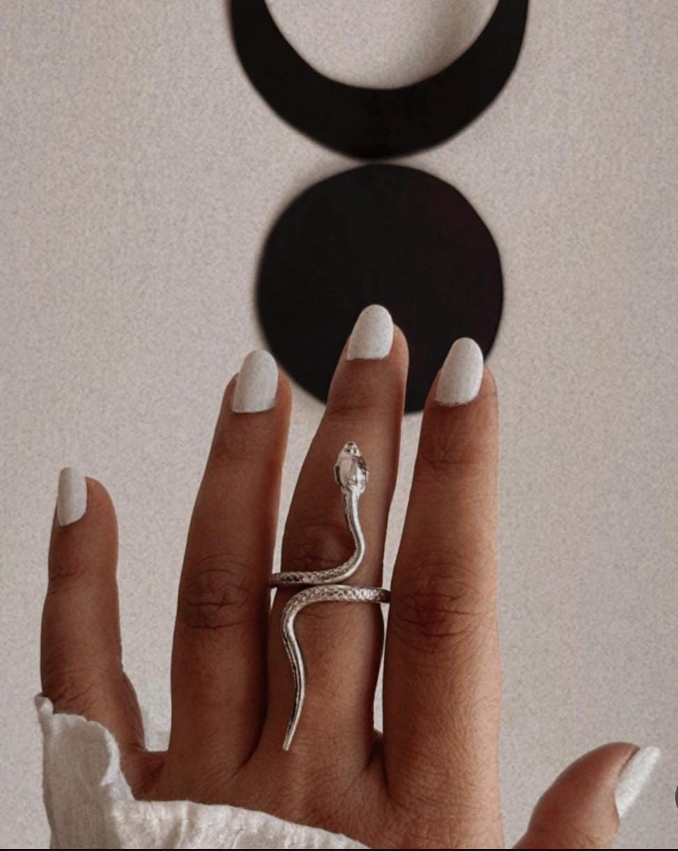 Timeless silver ring with two intertwined serpents