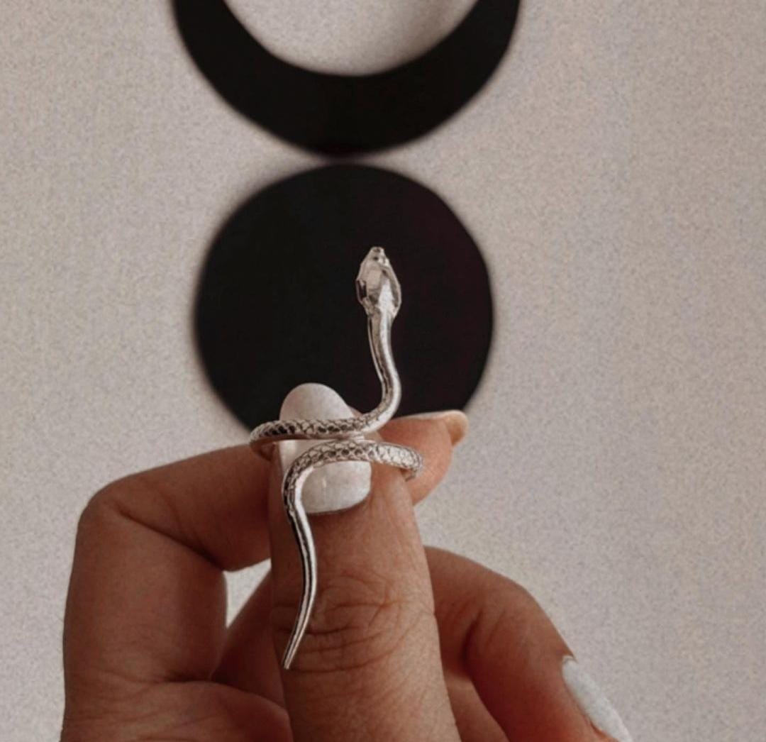 Unique dual serpent design silver ring