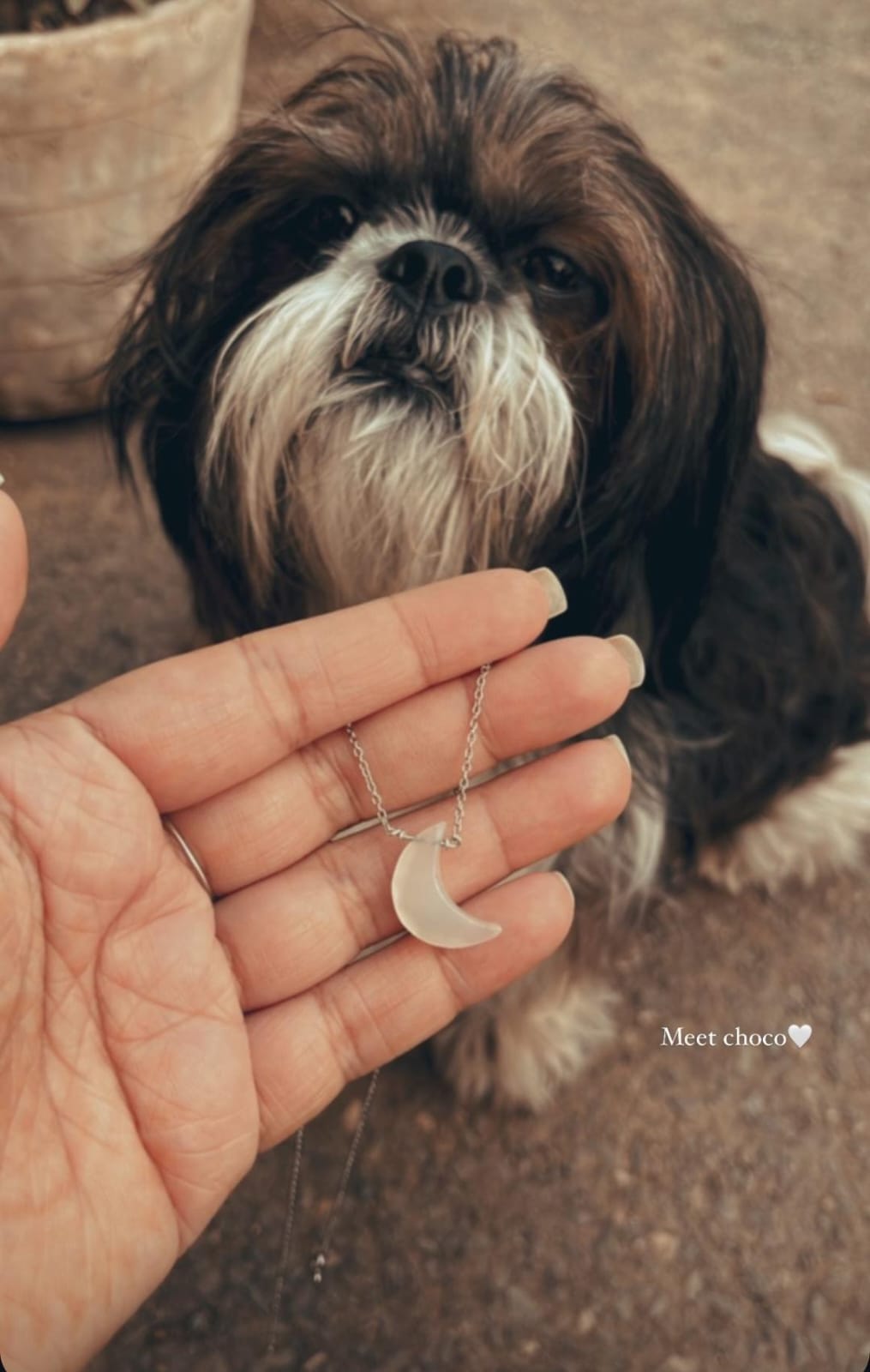 Crescent Moon Moonstone Crystal Pendant