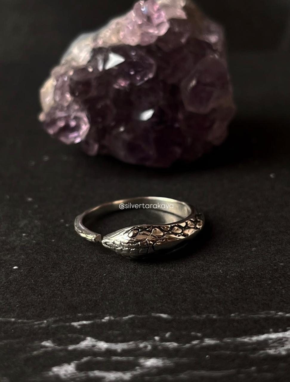 Sacred Serpent Snake Adjustable 925 Silver Ring - Bold Snake and Serpent Symbol