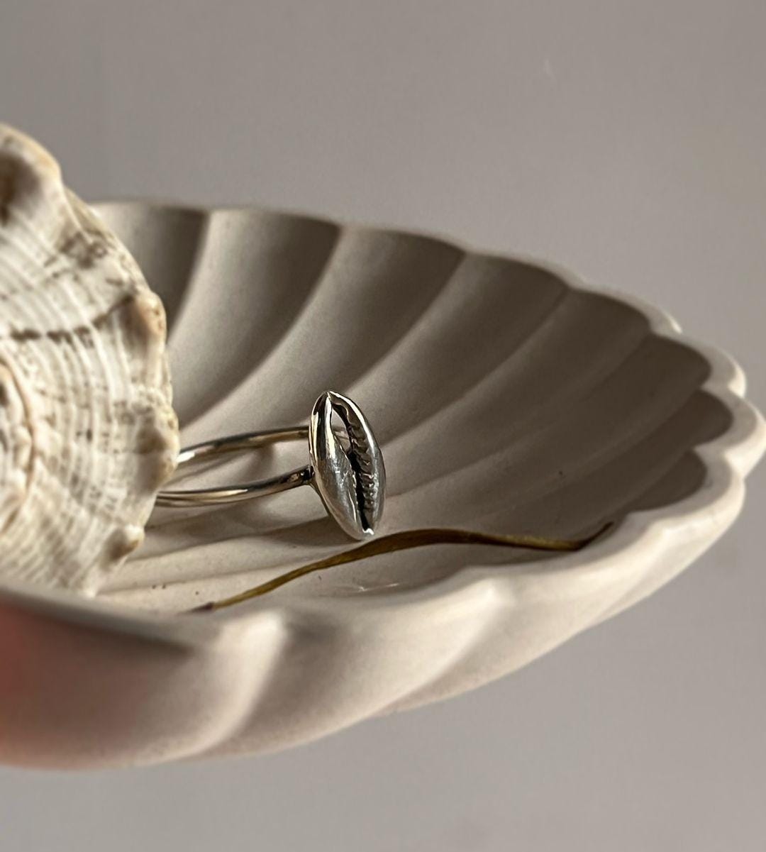 Timeless cowrie seashell silver ring with smooth, refined finish