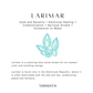 Natural Larimar Crystal 4-5MM Star Fish 925 Sterling Silver Necklace
