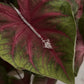 925 Sterling Silver Clear Quartz Goth Style Spiral Wire Wrapped Cable Dot Handcrafted Necklace