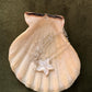 925 Sterling Silver Mother of Pearl Starfish Handcrafted Necklace