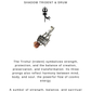 925 Sterling Silver Trishul Damru Rudraksh Pendant