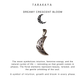 925 Sterling Silver Moon Floral Necklace