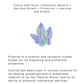 Natural Crystal Stretchy Fresh Water Pearl & Fluorite Rings