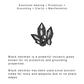Black Tourmaline Natural Crystal for protection