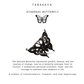 Butterfly 925 Sterling Silver necklace