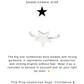 925 Sterling Silver Big Star Celestial Ring