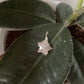 925 Sterling Silver Rose Quartz Star Wire Wrapped Handcrafted Pendant