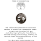 925 sterling silver chunky Tree of Life ring