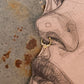 925 Sterling Silver Gold Vermeil Cz Septum Clip ons