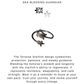 925 Sterling Silver Adjustable Boho Turtle Starfish Ring