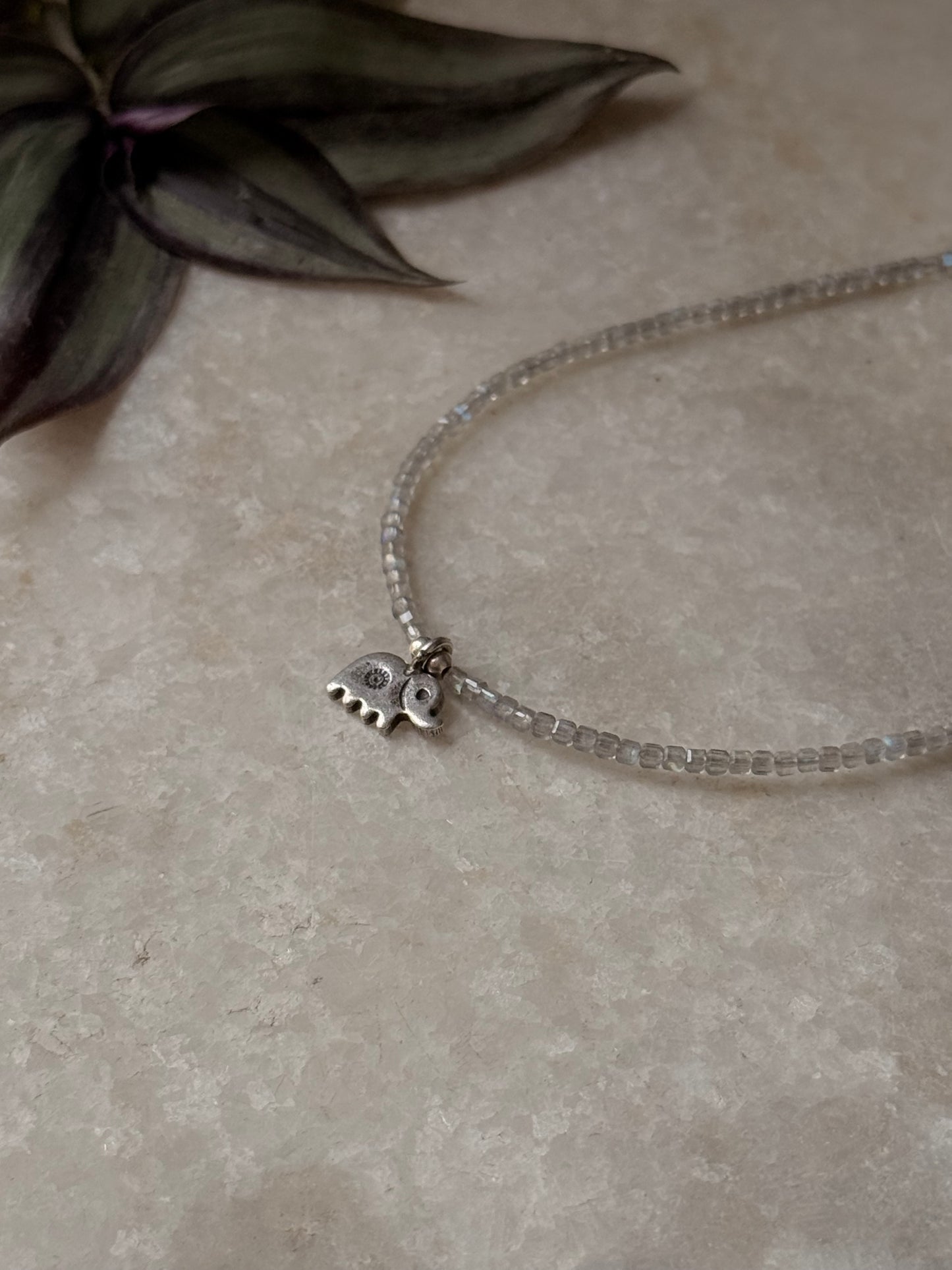 925 Sterling Silver Labradorite Box 2mm Hathi Charm Necklace