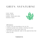 Green Aventurine for Elegance look