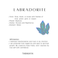 Labradorite Half Lotus 925 Sterling Silver Necklace