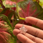 925 Sterling Silver Rose Quartz Star Wire Wrapped Handcrafted Pendant