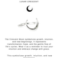 925 Sterling Silver Plain Crescent Celestial Moon Ring
