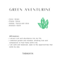 Green Aventurine, Howlite & Clear Quartz Crystal 925 Sterling Silver Earrings