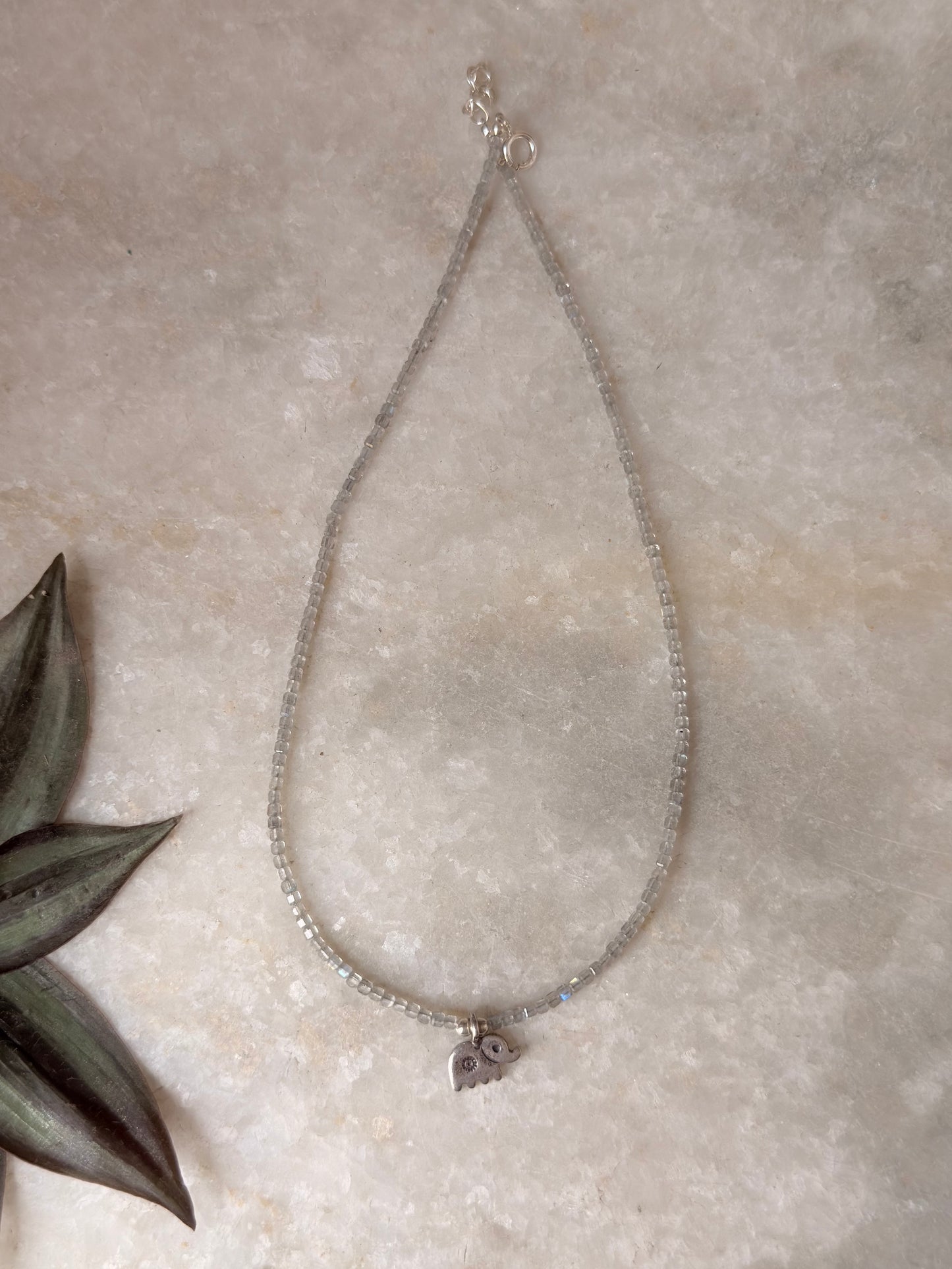 925 Sterling Silver Labradorite Box 2mm Hathi Charm Necklace