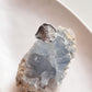 Handcrafted Ocean Shell Texture Ring in Sterling Silver
