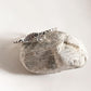 Charming Moonstone Dainty Forest Silver Ring