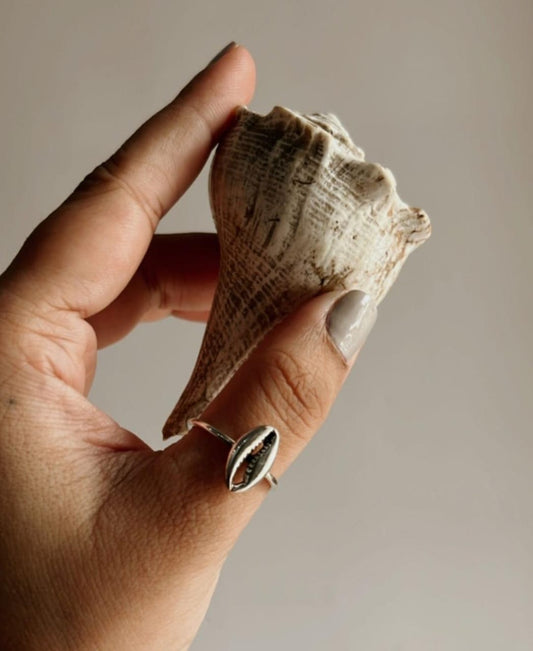 Elegant cowrie seashell silver ring with intricate detailing
