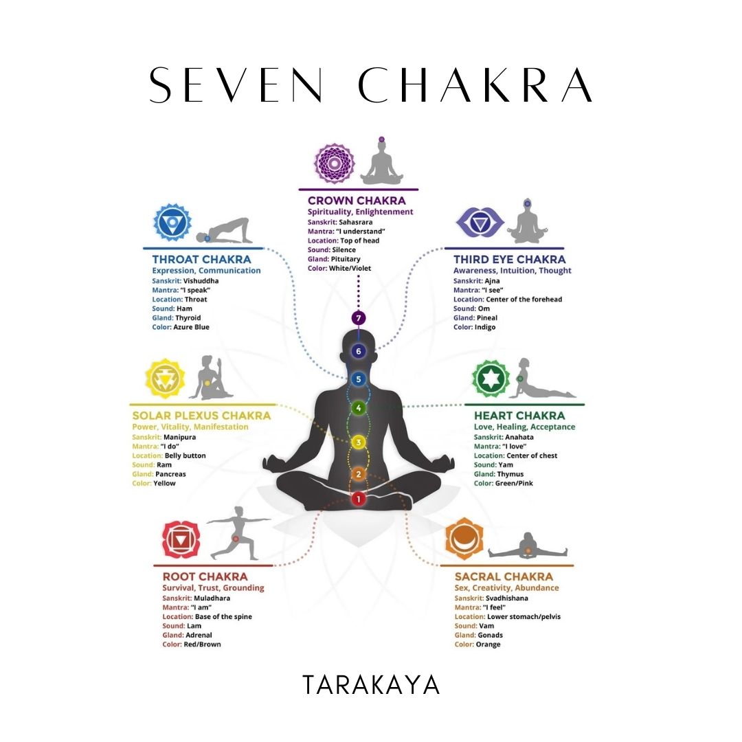 Seven Chakra V 925 Sterling Silver Ring
