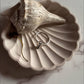 Handcrafted silver ring featuring a natural cowrie seashell design