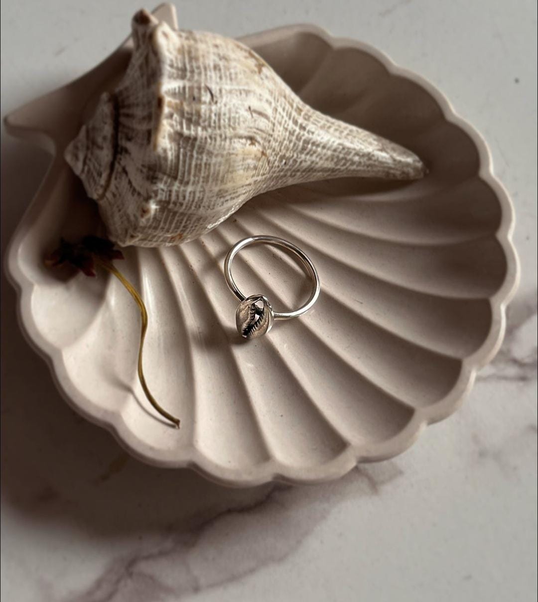 Handcrafted silver ring featuring a natural cowrie seashell design