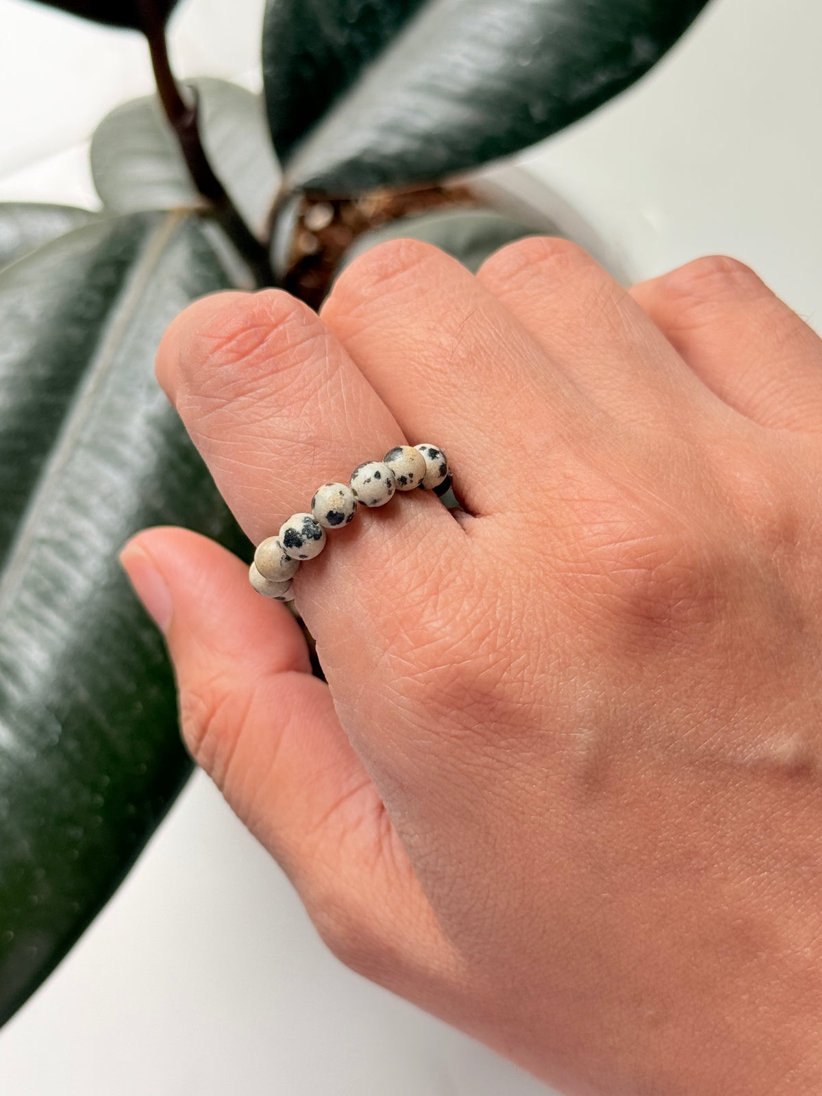 Dalmatian Jasper 4MM Natural Crystal Stretchy Rings
