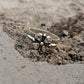 925 Sterling Silver Fleur De Lis Ring