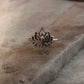 Divine Lotus 925 Sterling Silver Ring
