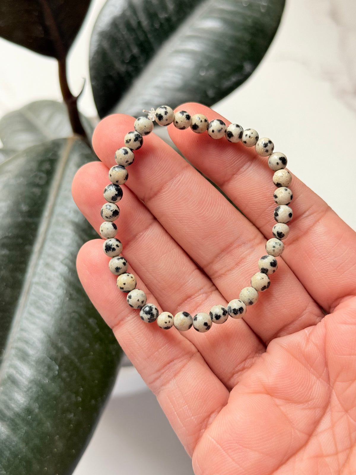 Dalmatian Jasper 4MM Natural Crystal Bracelet
