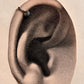 Sterling Silver Clip-On with Antique Rawa Flower Design