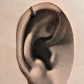 Silver Clip-On Nose or Helix Earring with Antique Rawa Flower