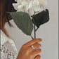 Timeless Bow Silver Ring for Women