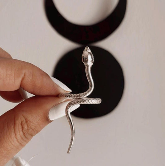 Serpent 2 silver ring with intricate detailing