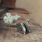 Plain Antique Poison Storage Silver Ring