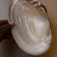 Authentic Natural Sea Shell for Crafting