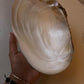 Natural Sea Shell in Raw Form