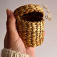 Small Trinket Box