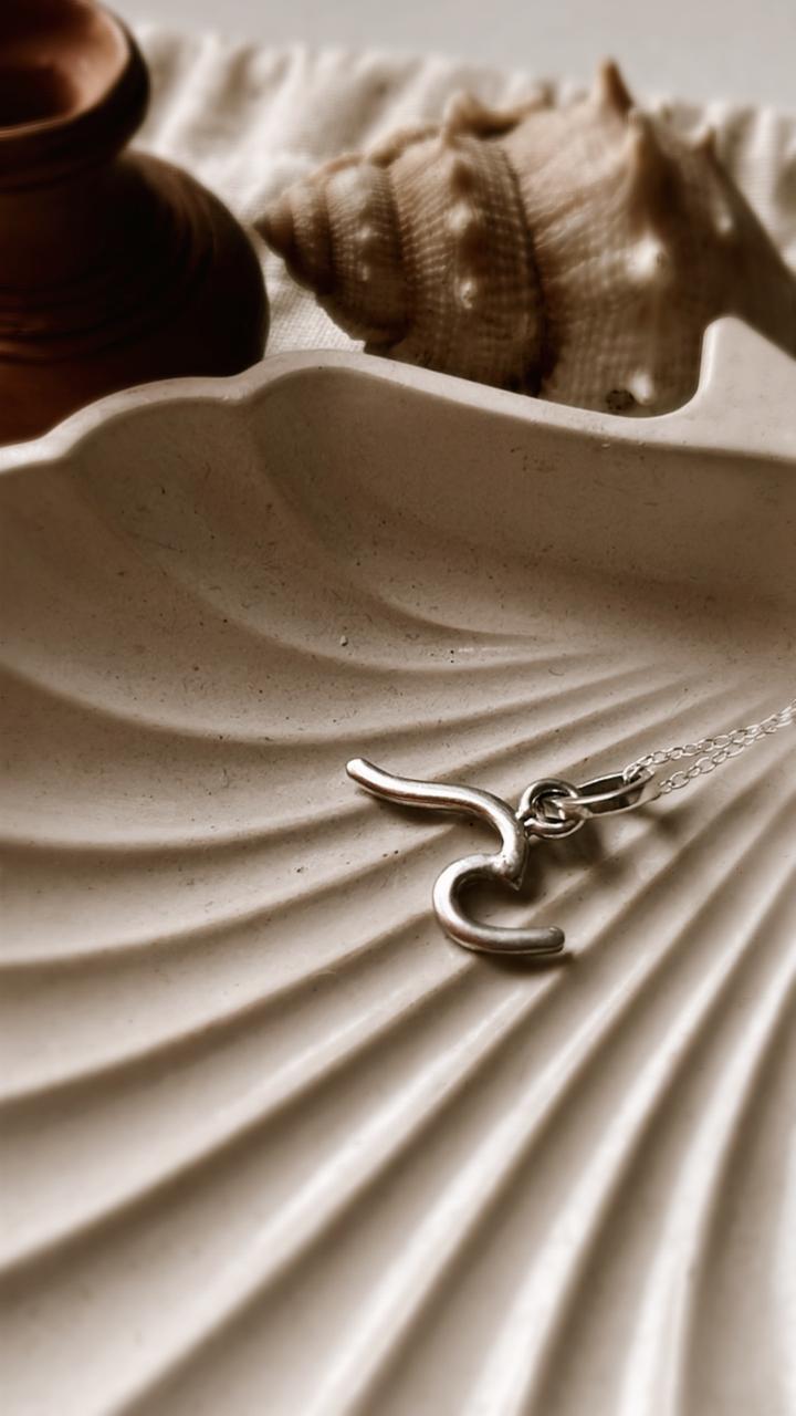 Wave Shaped Silver Necklace