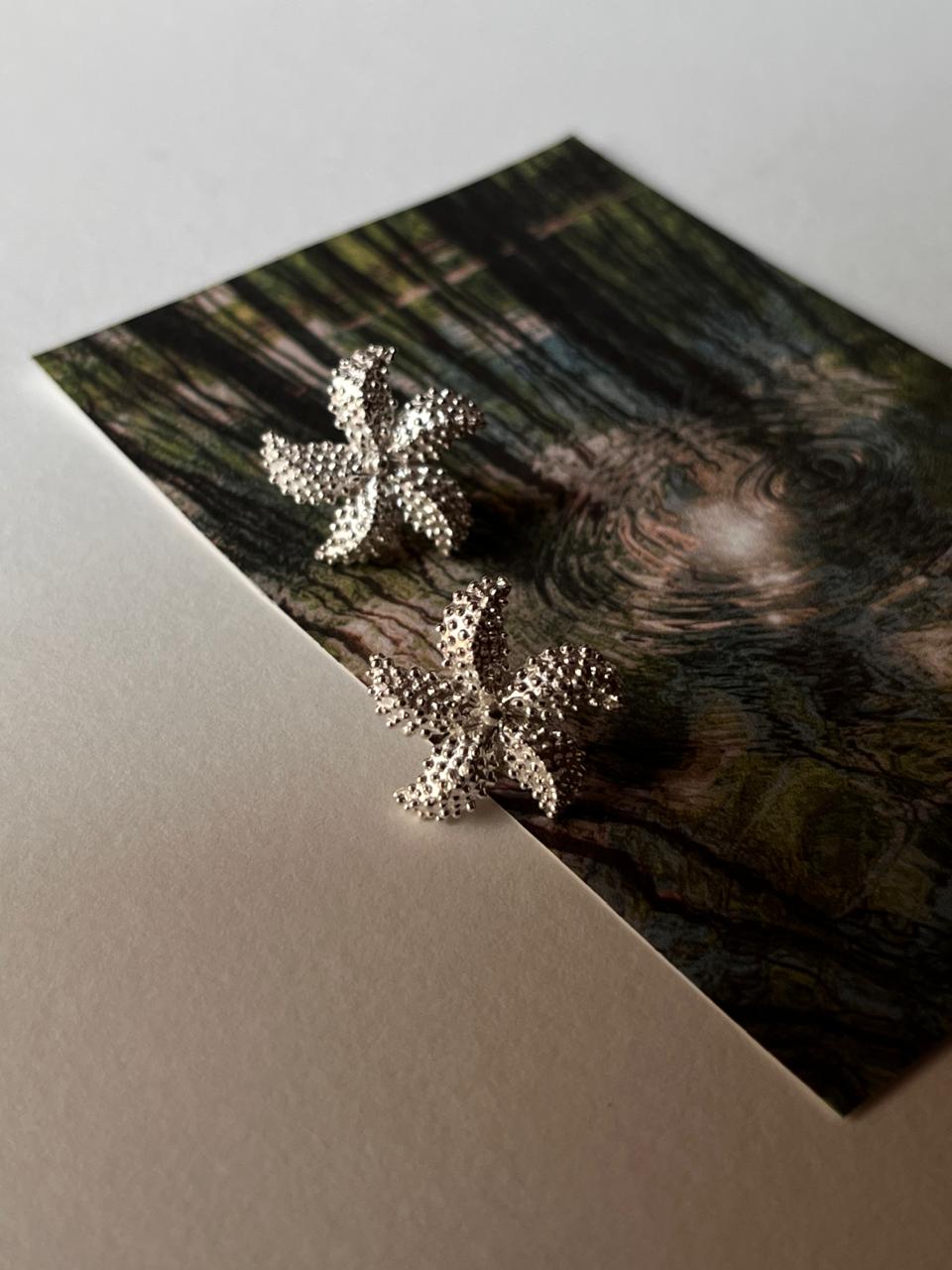 925 Silver Star Fish Stud Earrings