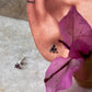 Elegant rawa pink cubic zirconia stud earrings in 925 silver