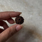 Sacred Nepal Rudraksha bead for meditation  